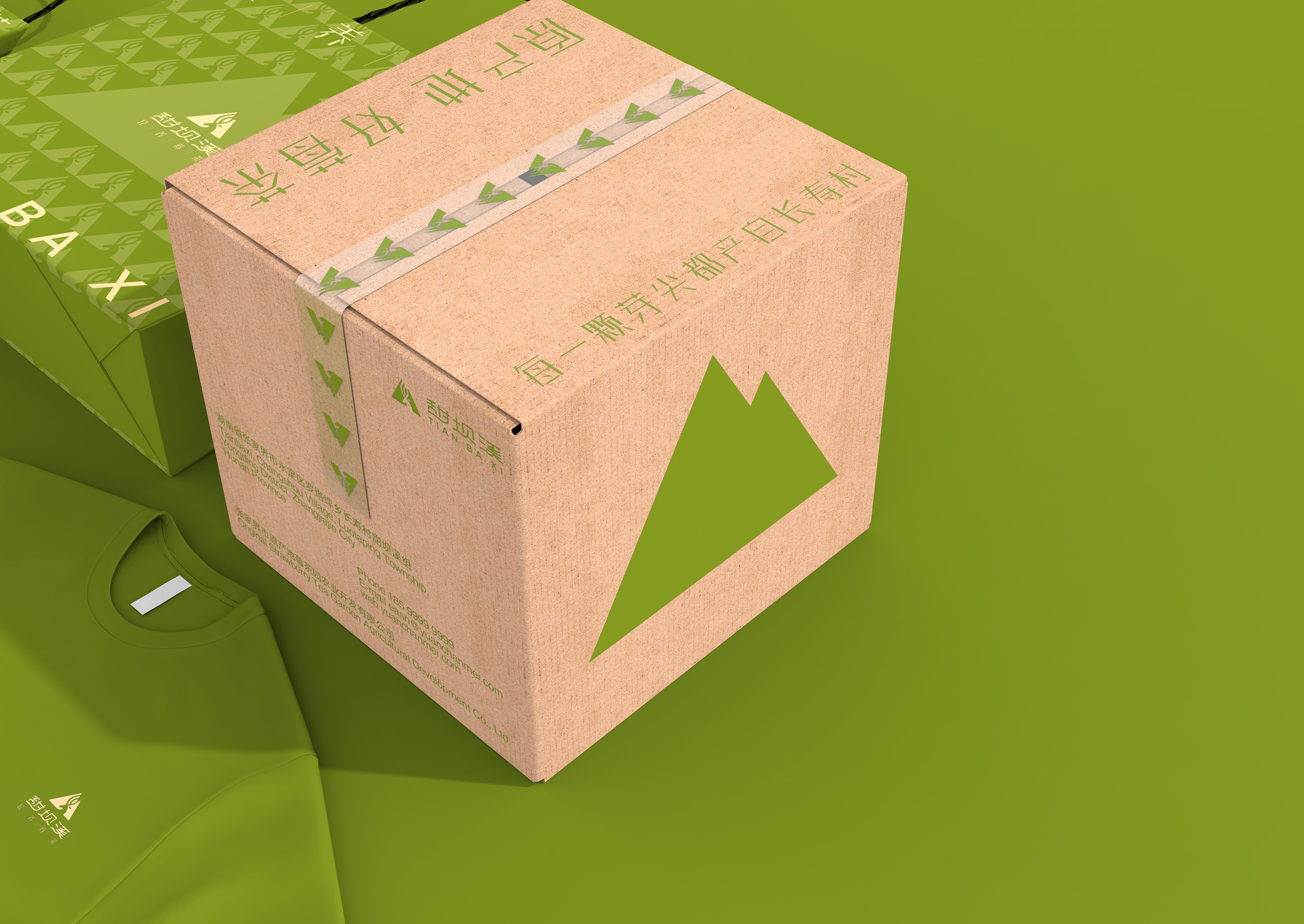 甜坝溪莓茶品牌包装设计